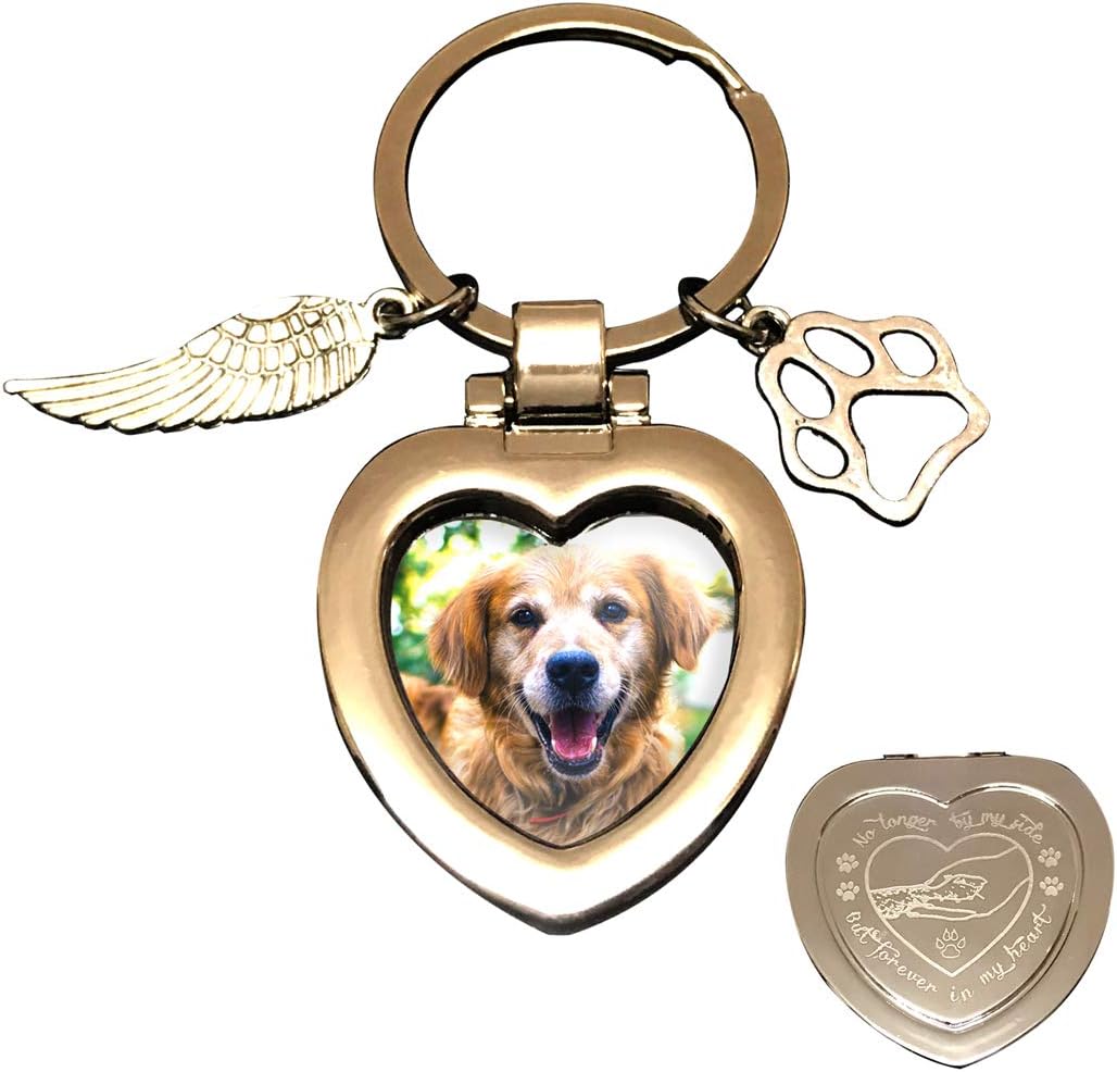 JOEZITON Pet Memorial Gifts (Opts) Passed Away Personalized Family Picture Frame or Keychain Jewelry Angel with Paws for Loss of Dogs or Cats.(K1)