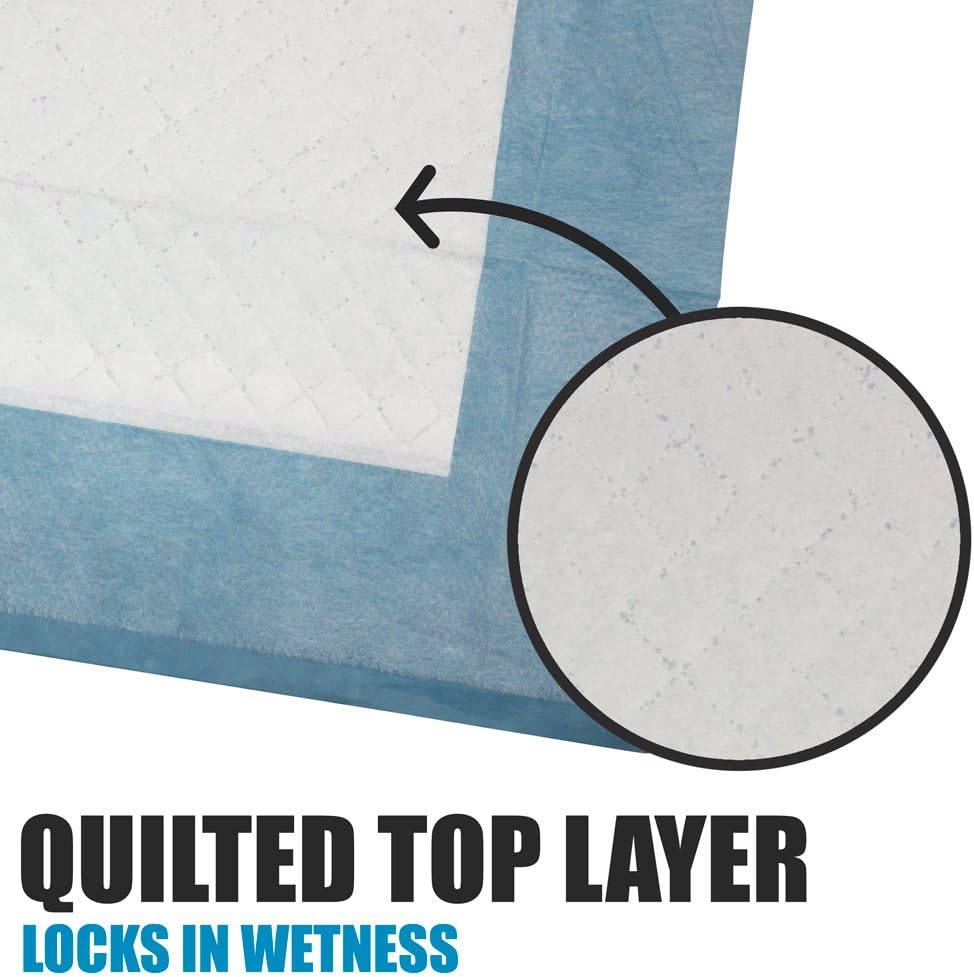 BV Pet Potty Training Pads for Dogs Puppy Pads, Pee Pads, Quick Absorb, 22" x 22" Training Pad, 100 Count Dog Pee Pads, Doggie Pads, Disposable Puppy Pee Pads