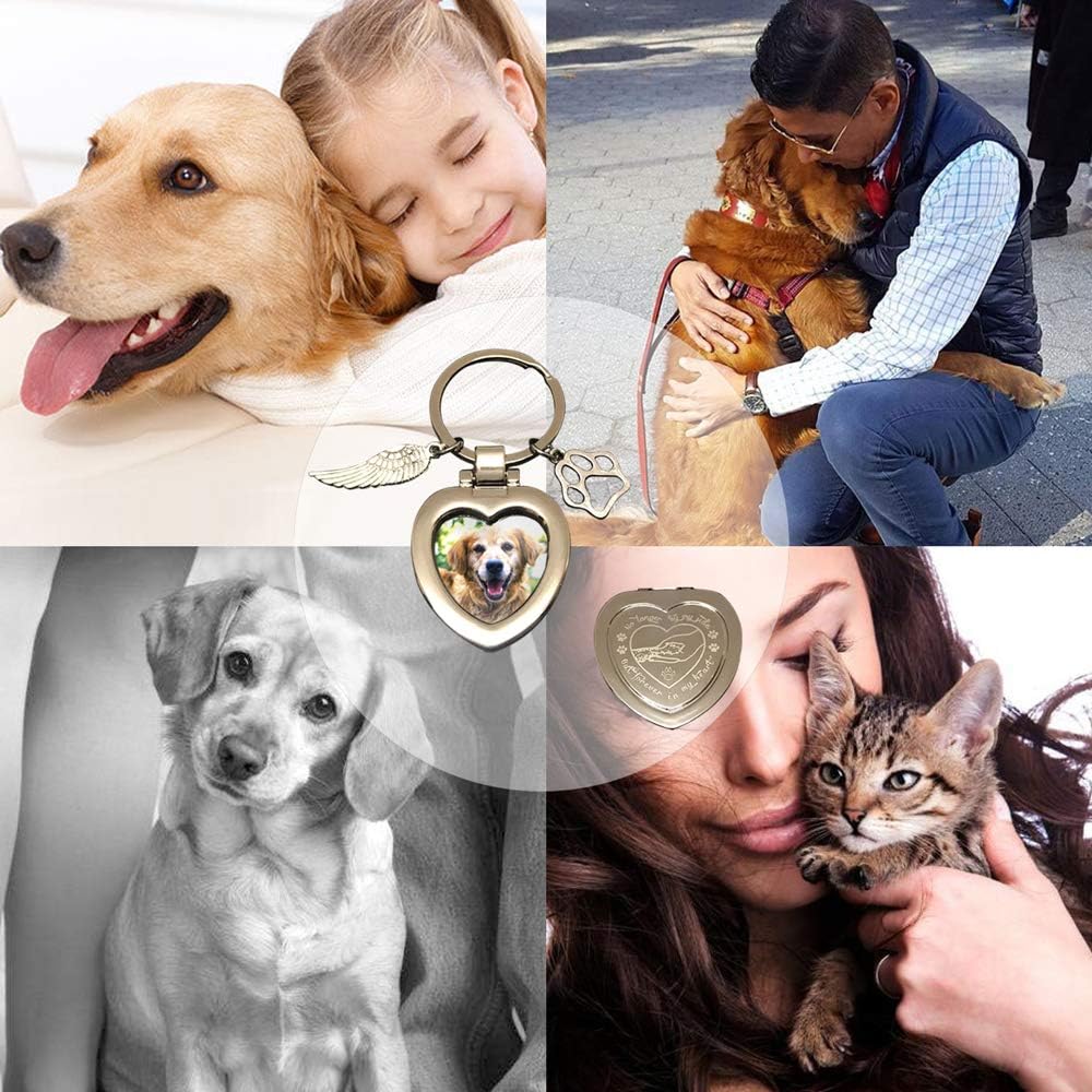 JOEZITON Pet Memorial Gifts (Opts) Passed Away Personalized Family Picture Frame or Keychain Jewelry Angel with Paws for Loss of Dogs or Cats.(K1)
