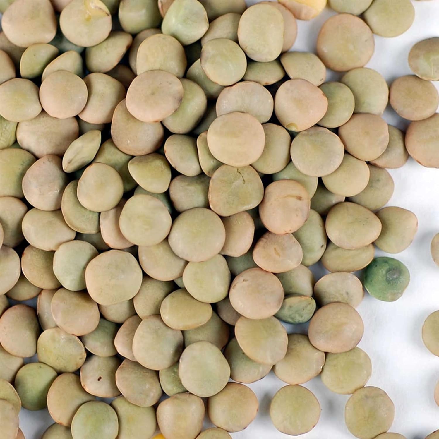 Certified Organic Dried Green Lentil Sprouting Seed: 4 Oz - Handy Pantry Brand: Dry Lentils for Planting Garden Seeds, Soup, Cooking or Sprout Salad, Sprouts