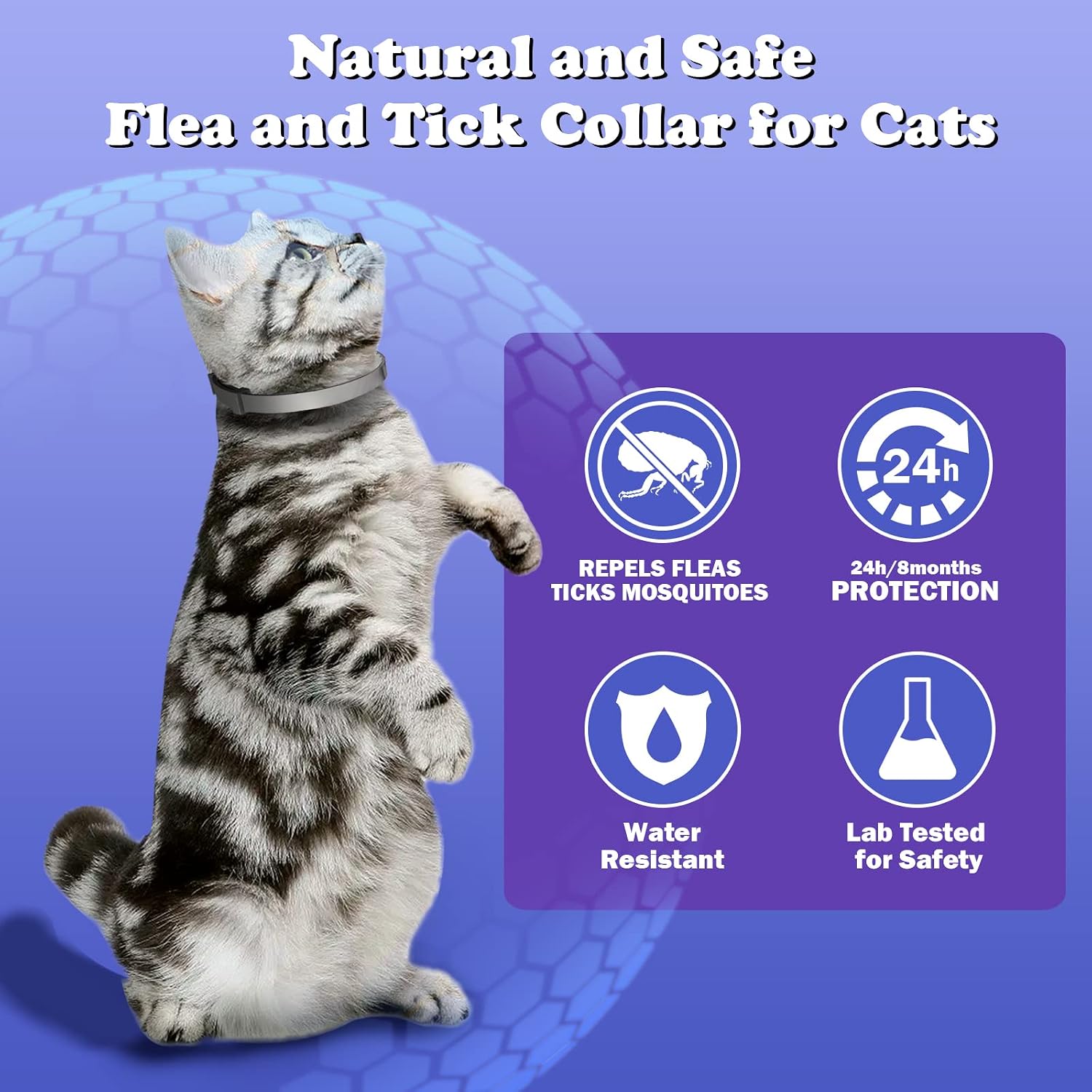 Cadorabo Flea and Tick Collar for Cats Kittens, 8 Months of Cat Flea Collar Protection 2 Collars Made with Premium Plant Based Essential Oil Waterproof and Natural Treatment Prevention Free Comb
