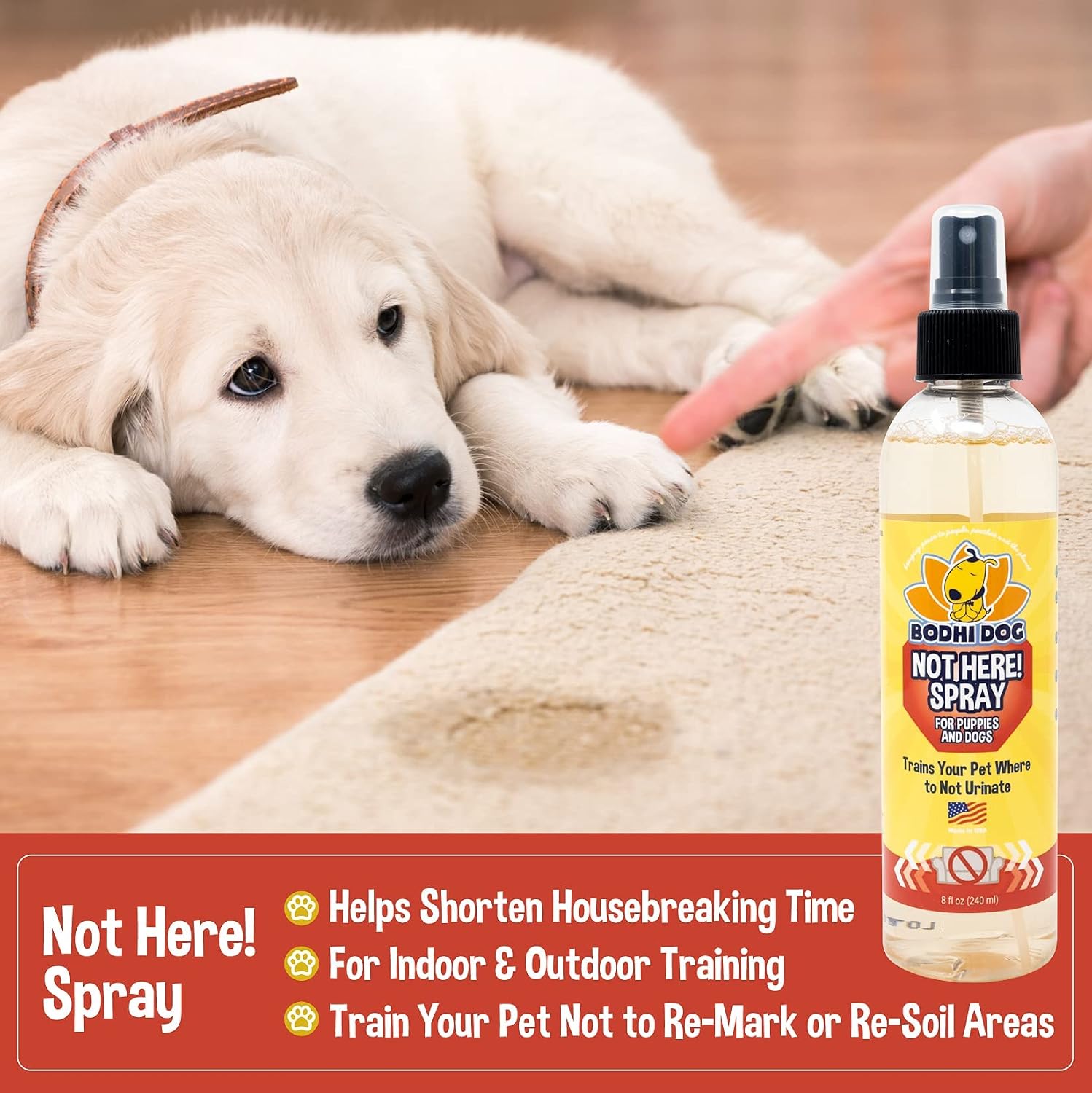 Bodhi Dog Not Here! Spray | Trains Your Pet Where Not to Urinate | Training Corrector for Puppies & Dogs | for Indoor & Outdoor Use | No More Marking | Made in The USA (8 Ounce)