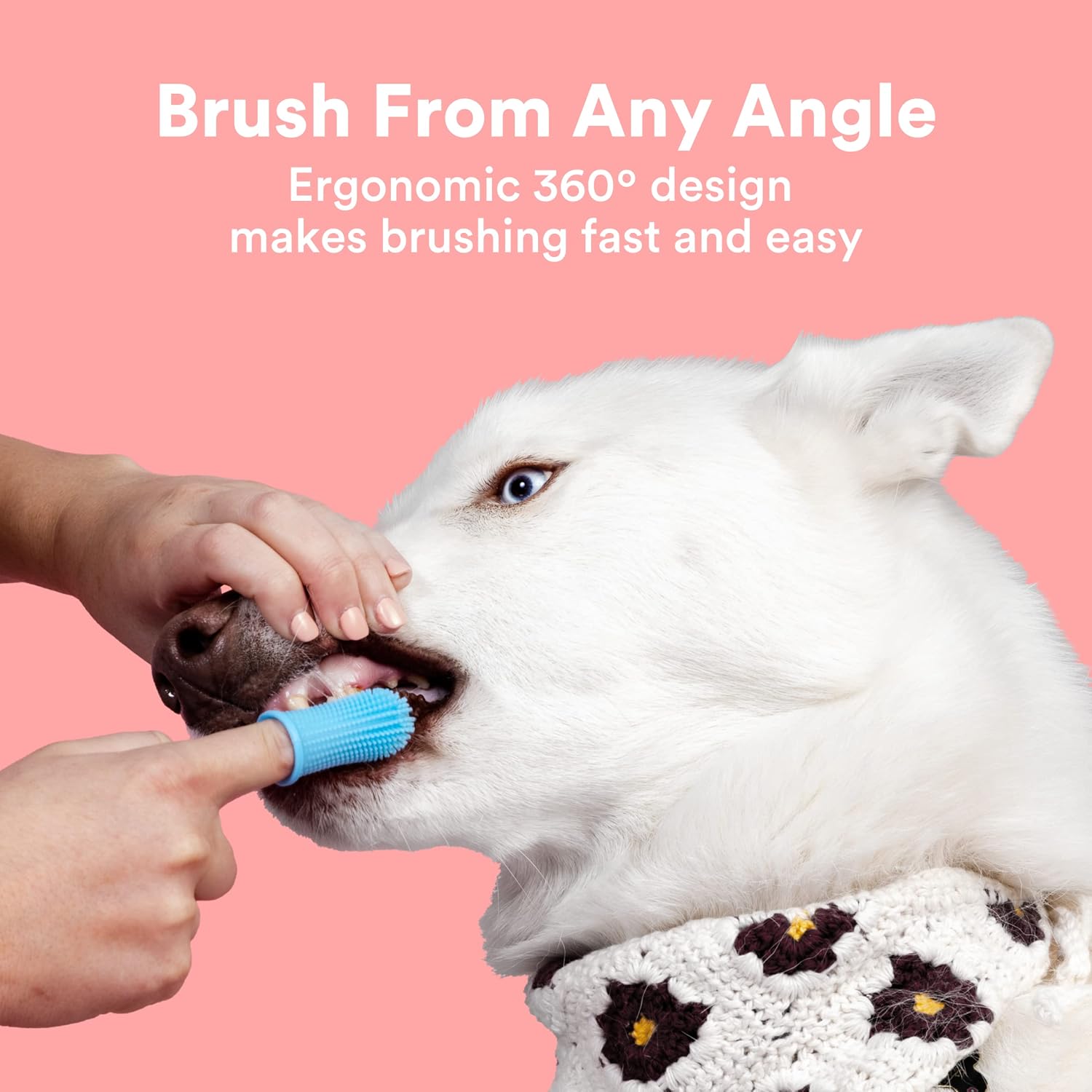 Jasper Dog Toothbrush - 360 DEGREE Dog Tooth Brushing Kit for Dog Teeth Cleaning - Dog Dental Care for Puppies, Cats & Small Pets - Ergonomic Dog Finger Toothbrush with Surround Bristles - Blue 2-Pack